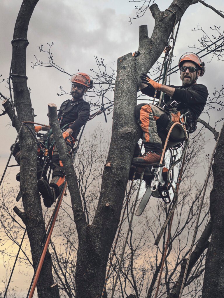 Baumpflege Team Wangen im Allgäu Über Uns