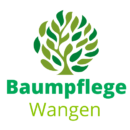 Baumpflege Wangen im Allgäu